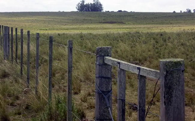 Carga de Escrituras de Inmuebles Rurales en AFIP: Guía Completa - Cómo confirmar el SISA afip carga de escrituas inmuebles rurales - Cómo confirmar el SISA