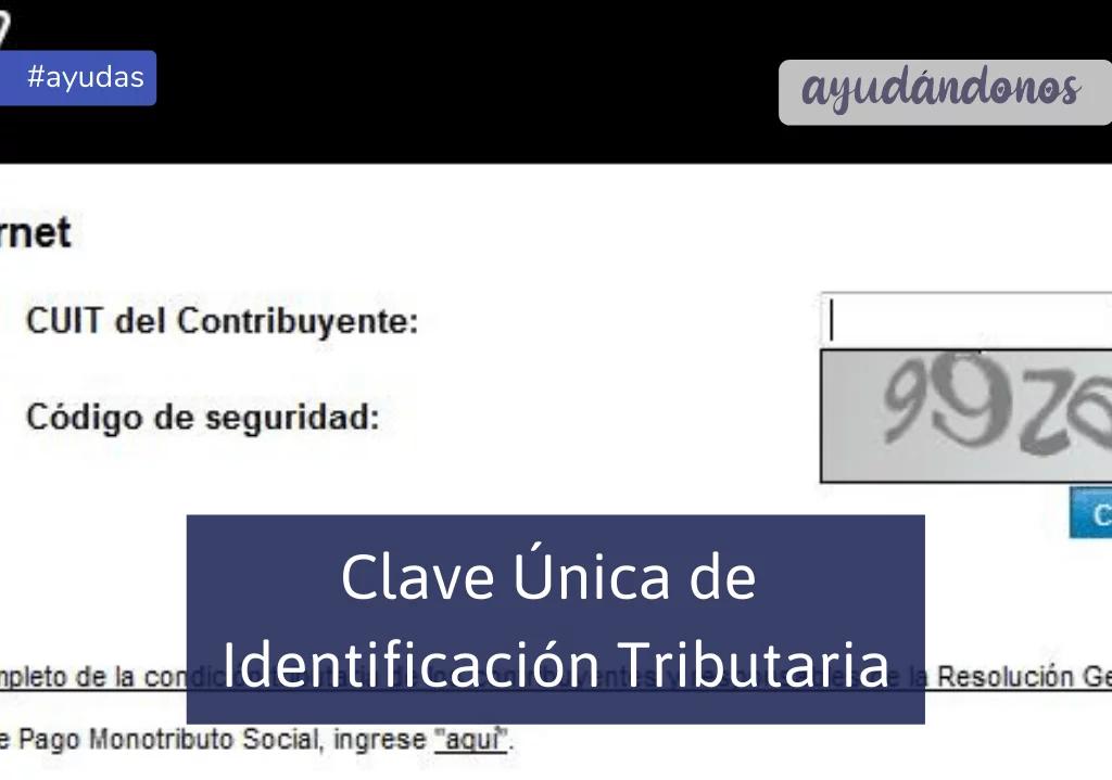 como realizar indentificacion unica de inmueble en pagina afip - Cómo hacer el CDI