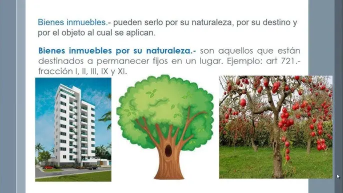inmuebles por adhesion - Cuáles son los inmuebles por adherencia
