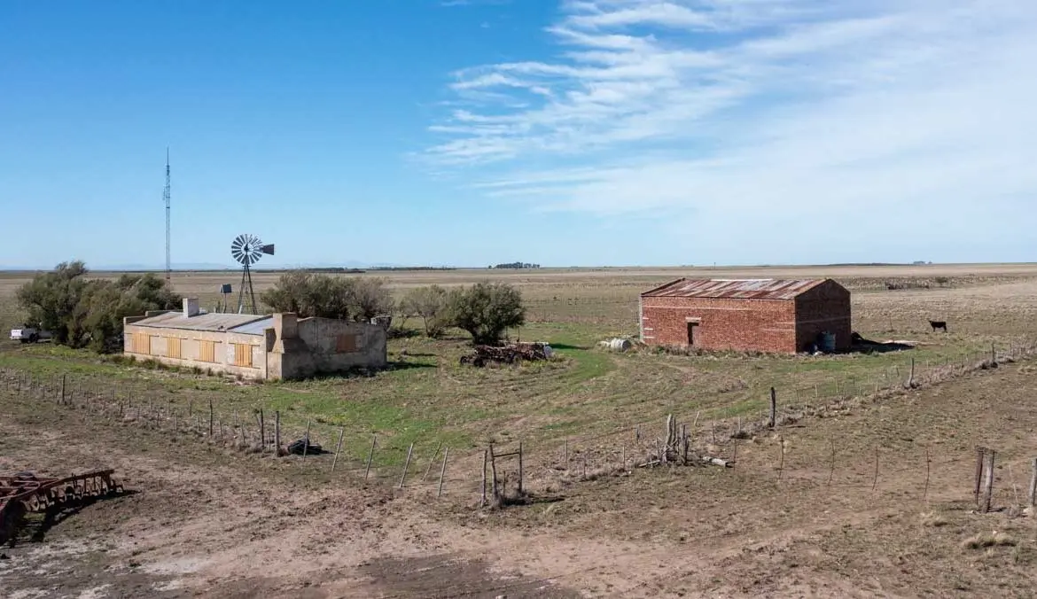 Venta de campos en Puan: Guía completa para encontrar la propiedad ideal - Cuántos habitantes tiene la ciudad de Puan venta de campos en puan - Cuántos habitantes tiene la ciudad de Puan