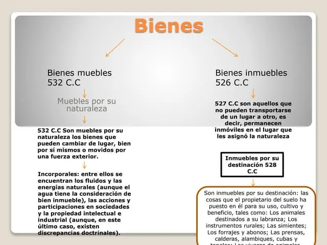 las acciones son bienes muebles o inmuebles - La acción es un bien mueble