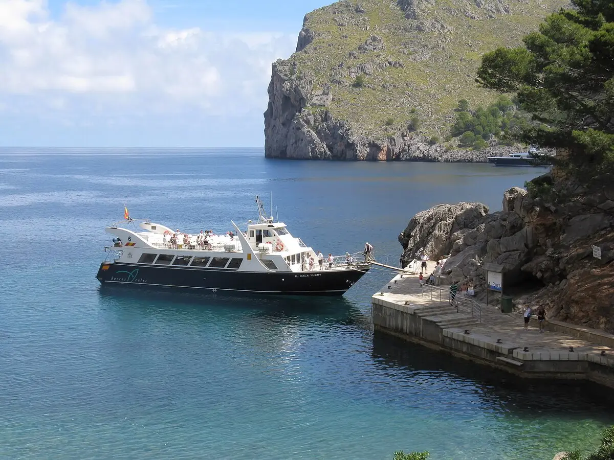 el muelle propiedades - Qué contiene el muelle