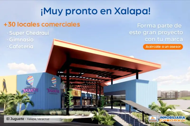 inmobiliaria chedraui - Qué empresas pertenecen al Grupo Chedraui