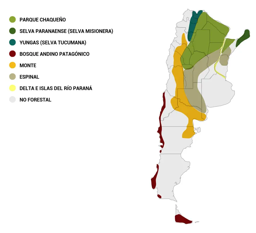 argentina masa forestal son inmuebles - Qué es la actividad forestal en Argentina