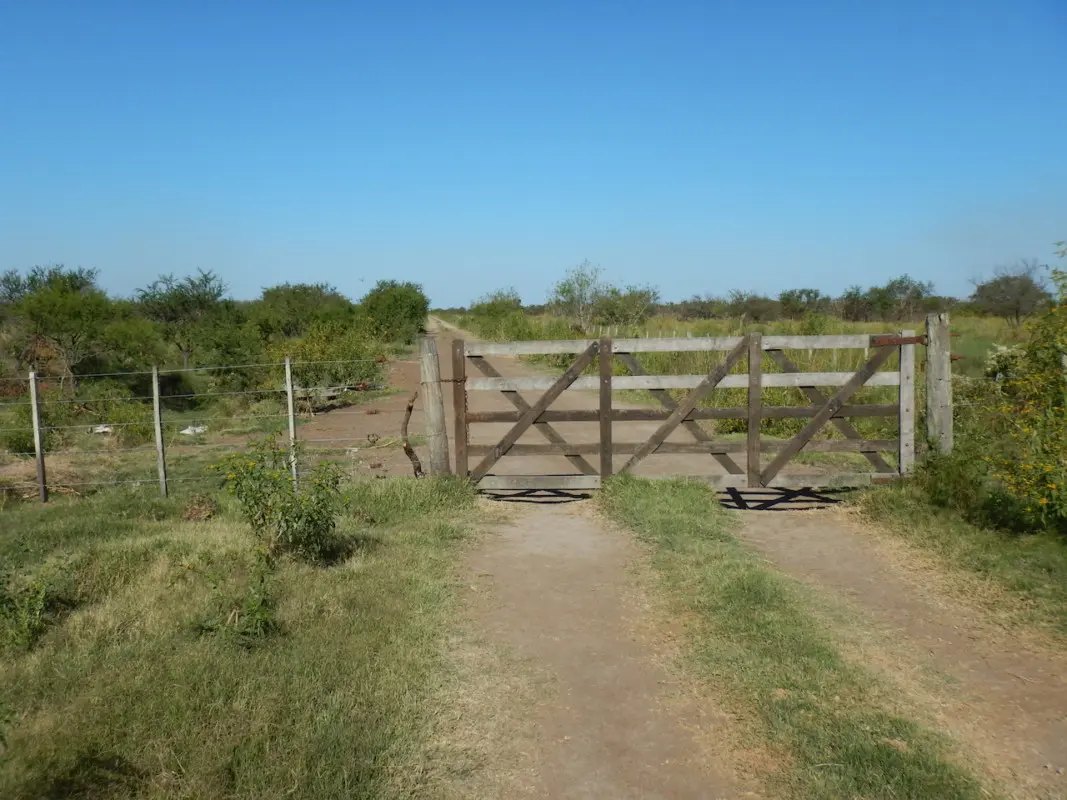 Venta de Campos en Santa Fe: Guía Completa para Inversores - Qué es lo que más se cultiva en Santa Fe venta de campos en santa fe - Qué es lo que más se cultiva en Santa Fe